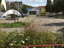 triathlon-zwickau-2025-b03